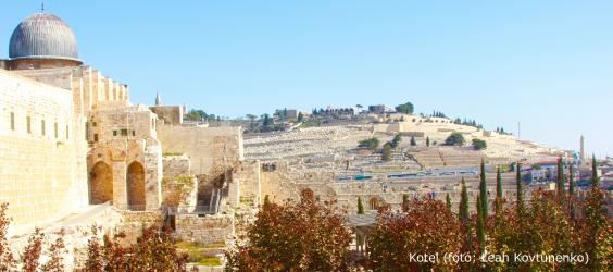 Kotel